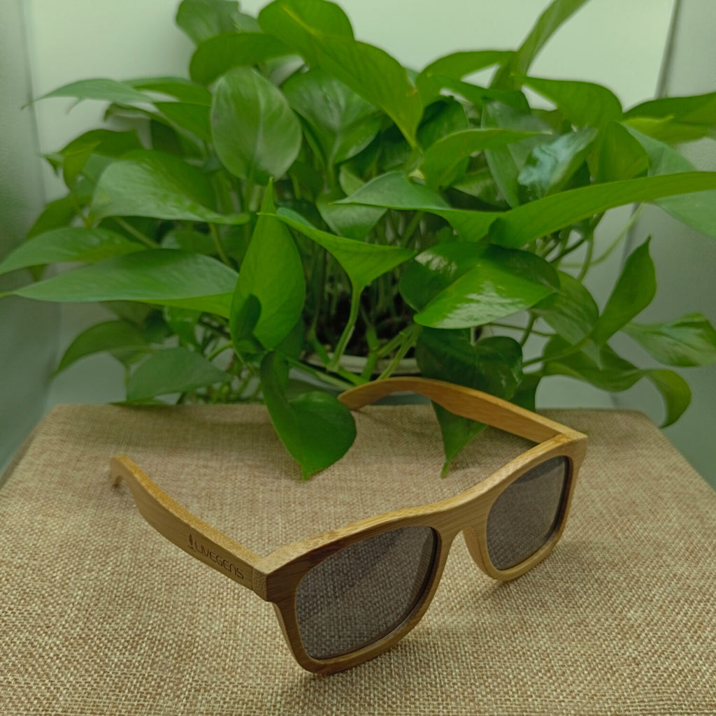 gafas de bambu livegens