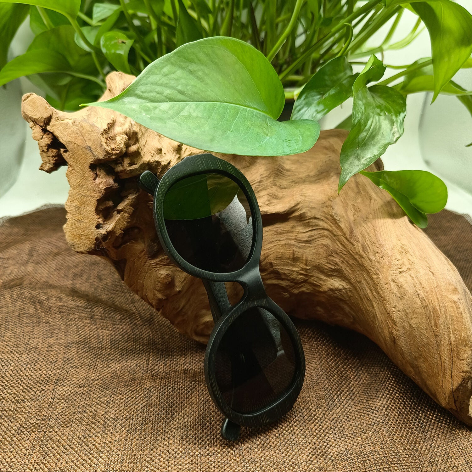 gafas de bambu livegens