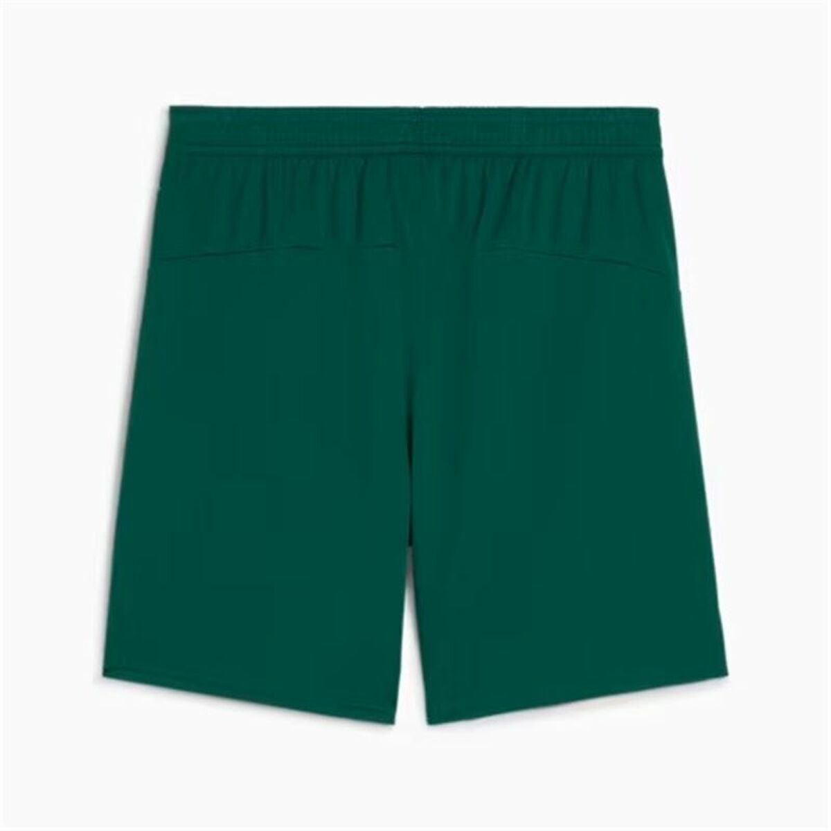 Football Training Trousers for Adults Puma Portugal Green Olive Men-6