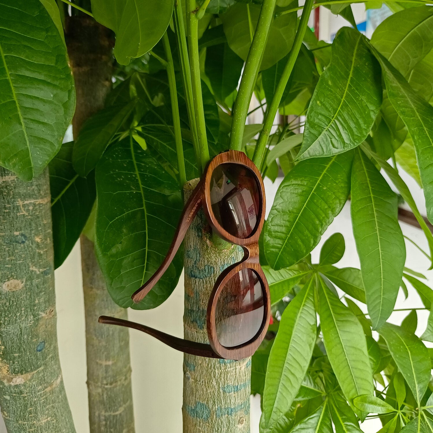 gafas de bambu livegens